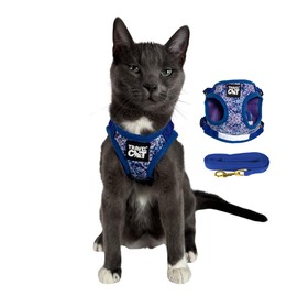 Travel Cat Harness and Leash Set - Adjustable Fit Mesh Cat Harness and Reflective Strap - Comfort Escape Proof Harness for Cats, Kitten for Outdoor Walking, Hiking (Small, Groovy)