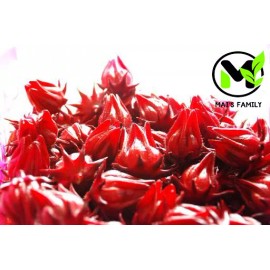 Mai's Family Roselle Seeds, Hoa Bụt Giấm, Asian Sour Leaf Red Sorrell Hibiscus sabdariffa - 100