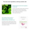 Dr.Ceuracle [Dr.Ceuracle]Cica Regen 95 Soothing Gel 110g