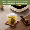 Green Peaks Tea Organic Decaf Green Tea Bags - Mild