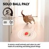 Interactive Cat Toys, Fast Rolling Ball in Play Mat, Automatic