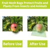 100PCS Fruit Protection Bags - Drawstring Mesh Covers for Gardens