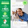 Waggys Belly, Suplemento Digestivo con Probióticos para Perros, 60 pzs