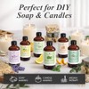 Handcraft Blends PPTABOLD Handcraft Lemon Essential Oil - Huge 4