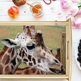 Vero Home 11385 Wooden Tray Animal World Giraffe with Motif