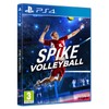 Spike Volleyball