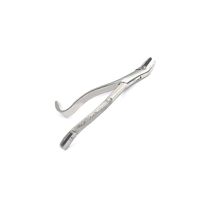 AAPROTOOLS German Grade EXTRACTING Forceps # 24 Dental Instruments Extraction