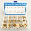 220Pcs Threaded Brass Inserts,M2,M2.5,M3,M4,M5,M6 and 1/4"-20 Heat Set Inserts and