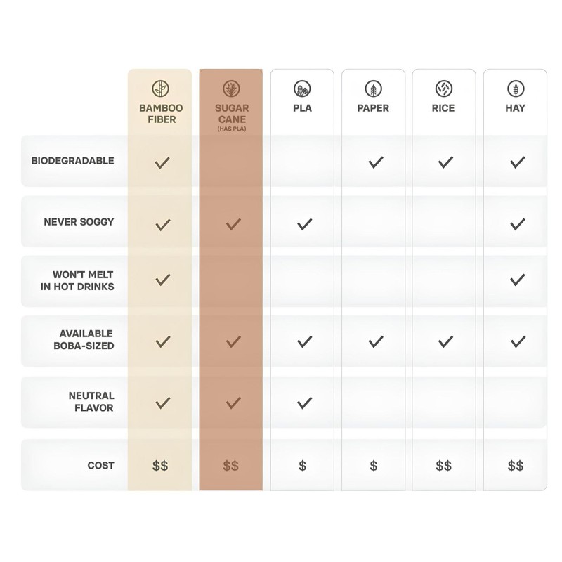 LowCarbonLife 100% Biodegradable Environmentally Friendly Sugar Cane Straws, 20 cm