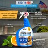 Pet Odor and Stain Eliminator - 32 oz ACTIVE Enzyme