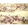 Sullivans 5' Multi 3-dimensional Mist Garland Lavender Beads