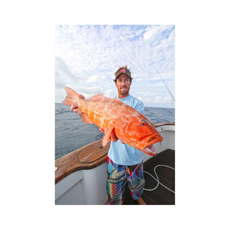 Penn Squall 20 Level Wind Star Drag