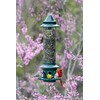 Squirrel Buster Plus Squirrel-proof Bird Feeder w/Cardinal Ring and 6