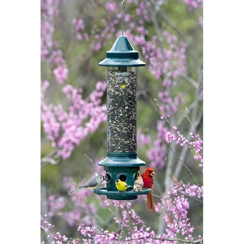 Squirrel Buster Plus Squirrel-proof Bird Feeder w/Cardinal Ring and 6