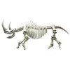 Pose skeleton Mammals Thigh
