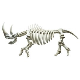 Pose skeleton Mammals Thigh