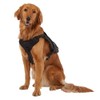 KONG Ultra Durable Tactical Vest Dog Harness (Medium, Black)
