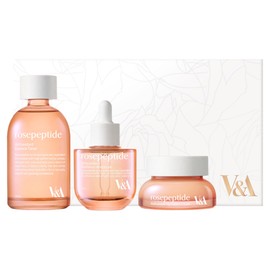 V&A Beauty Antioxidant Skin Care Essentials 3 Piece Set, 1 Set / 브이앤에이뷰티 안티옥시던트 스킨 케어 에센셜 3종 세트, 1세트