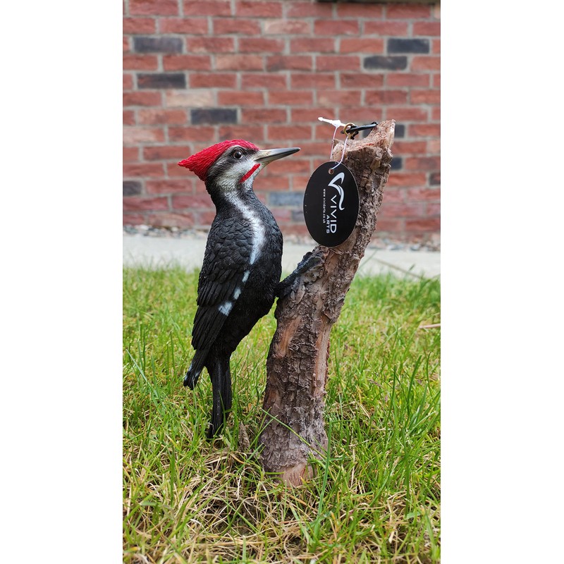 Vivid Arts Garden Friends, Home/Garden Decor. (Hanging Spotted Woodpecker)
