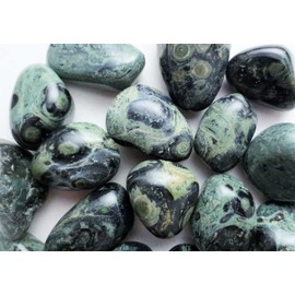 Kambaba Tumbled - Crocodile Jasper - Healing Stone - Crystal Healing 20-25mm (5)