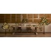 Hairui Lighted Magnolia Tree 4FT 165 LED Fairy Lights, Faux