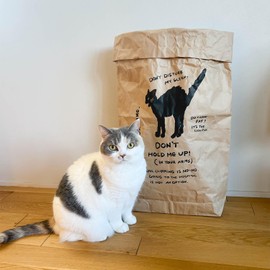 Orneko Rice Bag for Cats angry Cat