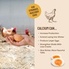 Hatortempt Chicken Feed Granules - 10 lb, Non-GMO - Protein-Rich