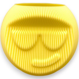 Cool Face Vase Yellow Funny Vase with Face Round Flower Pot Planter Smiley Head Funny