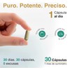 NAD+ Resveratrol Nicotinamida Ribosa 300mg Kit 2 Frascos