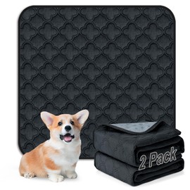 FunFurry Washable Pee Pads for Dogs - 2 Pack Reusable Pee Pads，Waterproof Puppy Pads，Pet Training Pads，Super Absorbent with Dog Paw Shape Non-Slip Backing (Dark Grey, 24" X 24" - 2 Pack)