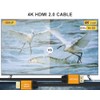 WEIMEI 100 Feet 4K HDMI Cable 2.0 HDMI Cord 100ft