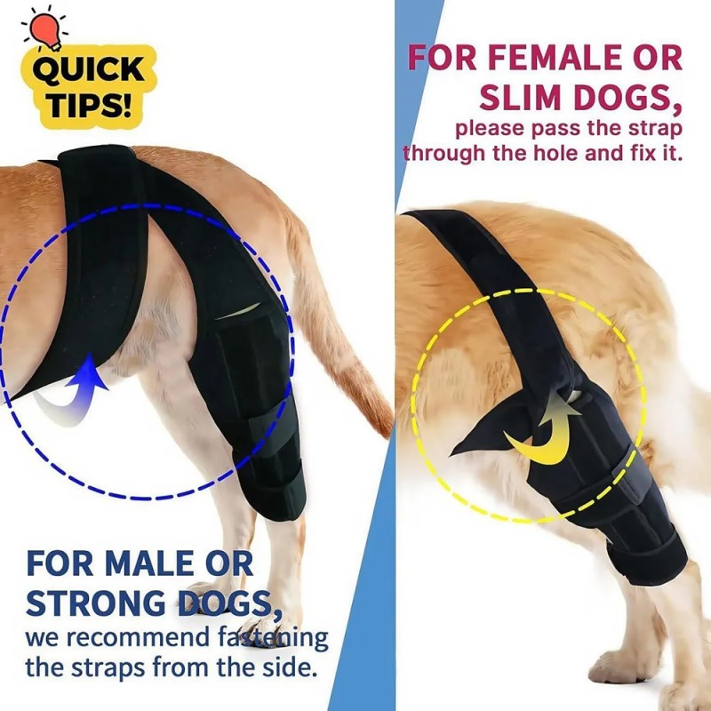 Rodillera Para Perros Rodillera Acl Para Perros Rodillera Pr Negro