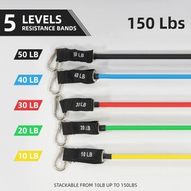 Fitvids Resistance Loop Bands Set - 5-Level Exercise Bands for Home Fitness, Physical Therapy & Strength Training (10-50lbs)