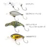 LUCKY CRAFT Deep Kura Pee SS Fishing Lure Crankbait (5178