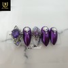 ❣High quality Aladdin parts nail tips - Long stiletto /