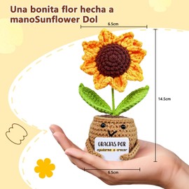 ZHANAM Mini Girasol de Punto Divertida, Regalos de Graduación 2025, Muñecos de Crochet con Tarjeta Activa, Regalos para Mujer y Hombre, Niñas