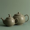 Price & Kensington 110 cl, 6 Cup Teapot, Sage Green