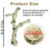 BNOSDM Reptile Branches, 9.5-11.4inch Snake Climbing Branch, Terrarium Wood Branch