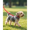 Joytale Small Dog Collar, Reflective and Adjustable Nylon Collar with