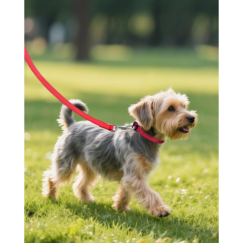Joytale Small Dog Collar, Reflective and Adjustable Nylon Collar with