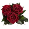 ROSEMARIE SCHULZ Heidelberg Infinity Rose Box White Round Preserved Flowers