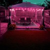 G40 Pink LED Replacement Light Bulbs 1W LED Filament Bulb