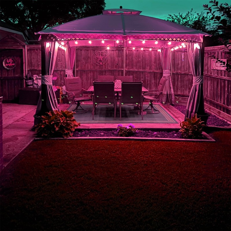 G40 Pink LED Replacement Light Bulbs 1W LED Filament Bulb