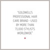 Goldwell Dualsenses Silver Shampoo 300ml