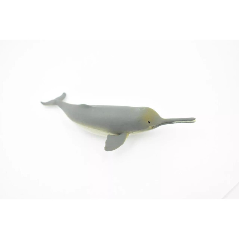 Unbranded Ganges River Dolphin, Realistic Toy Figure, Model, Replica, 5"