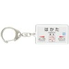 JR Kyushu 鹿児島本線 "City" Key Holder Train Goods