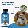 Dog Allergy Relief & Immune Support, Natural Holistic Itch Relief