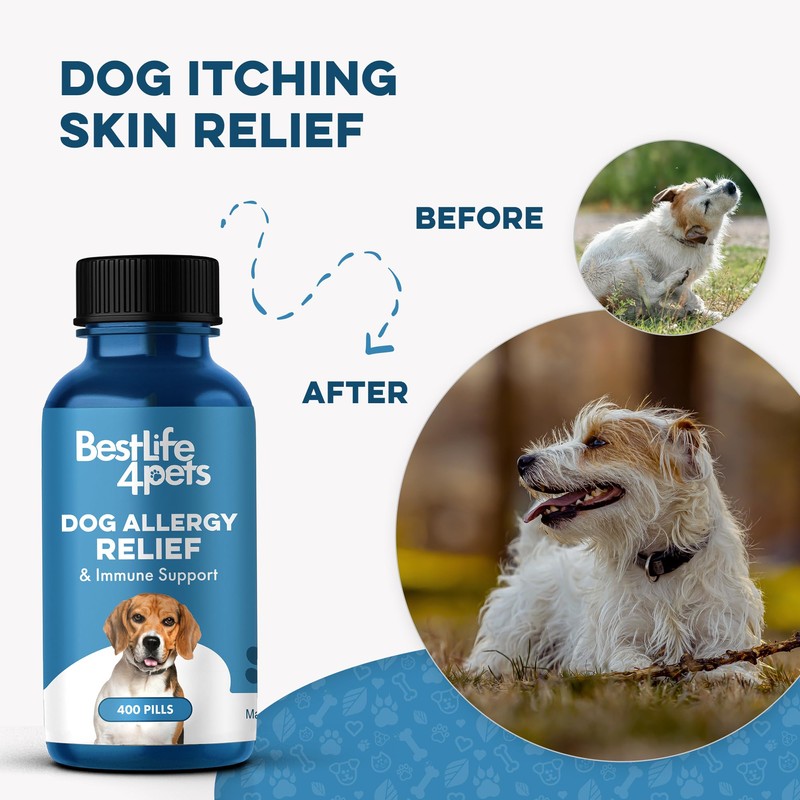 Dog Allergy Relief & Immune Support, Natural Holistic Itch Relief