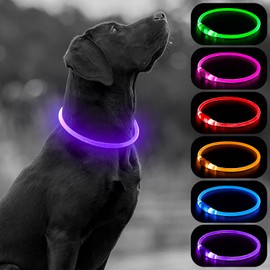 HIGO Light Up Dog Collar, LED Dog Collar for Night Safety with 3 Modes, Type-C Rechargeable & Adjustable TPU Material for Small Medium Large Dogs (Purple)
