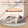 Large Dog Bed Orthopedic Dog Beds for XX-Large Dogs with